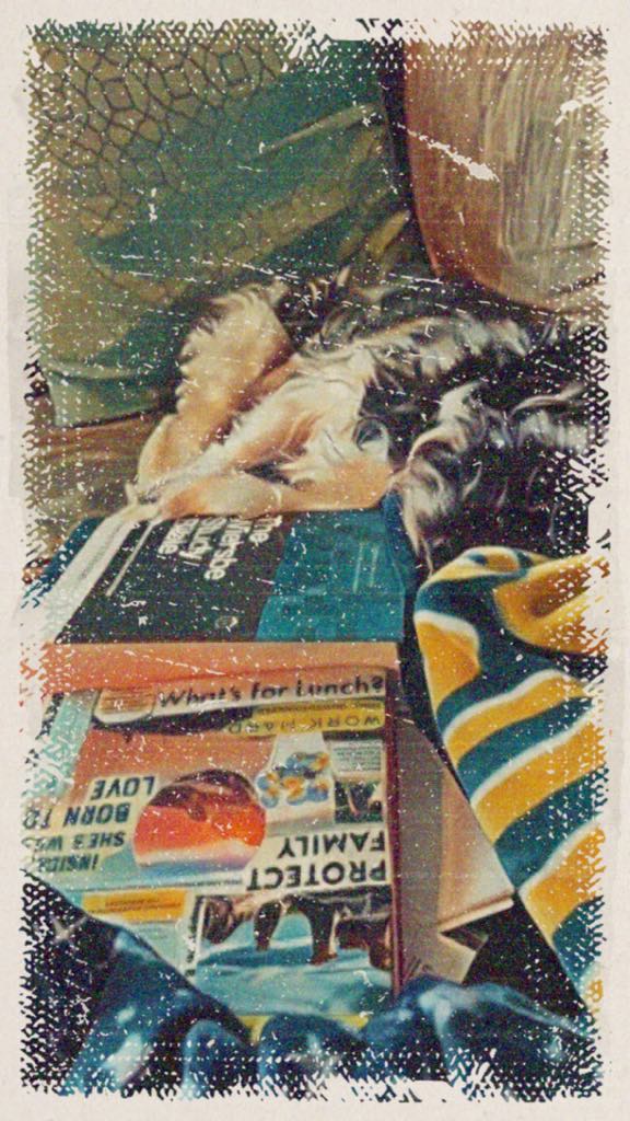 e71190ea-f79c-4a01-b0ef-7b182e8d0069